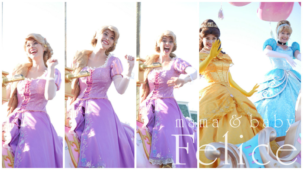 東京ディズニーランド