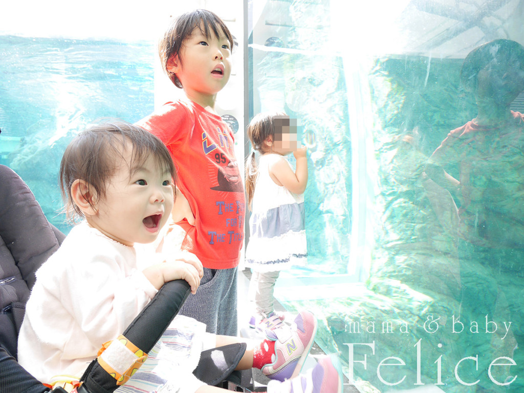 京都水族館